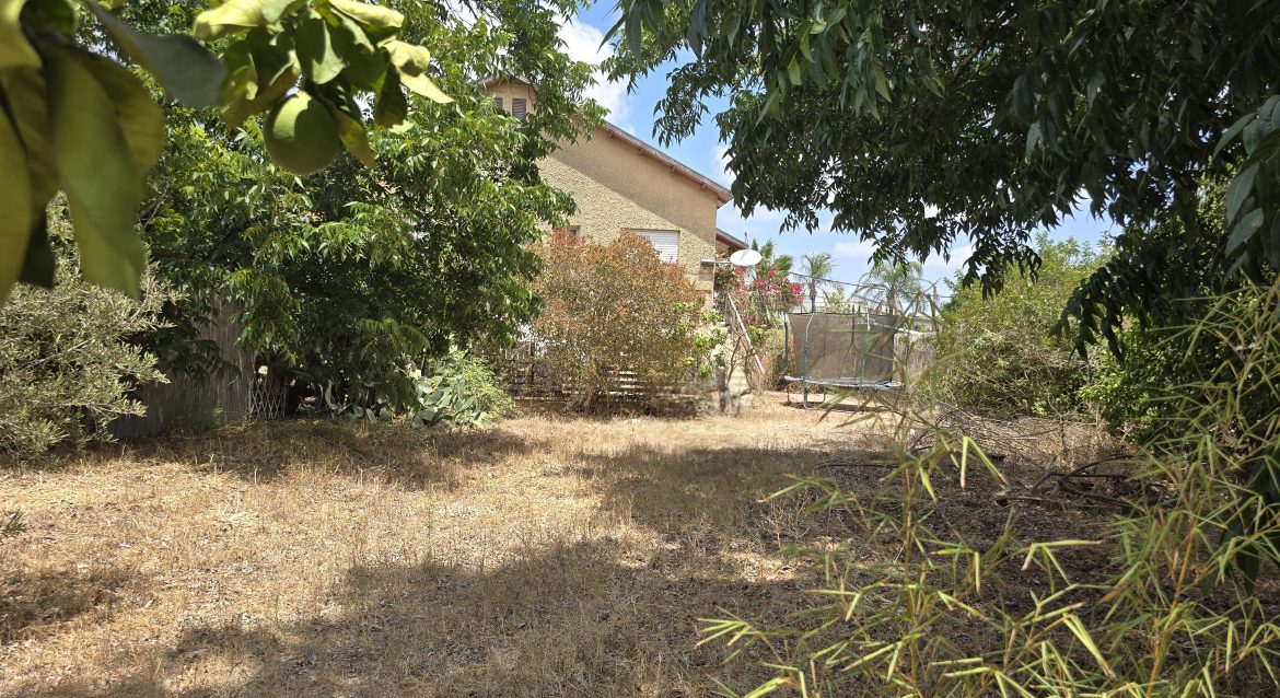 זה הדונם שכ”כ חיכיתם לו..