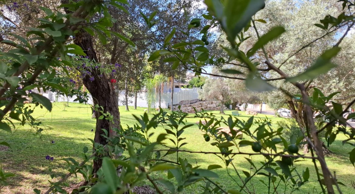 למכירה בית שחובה להכיר